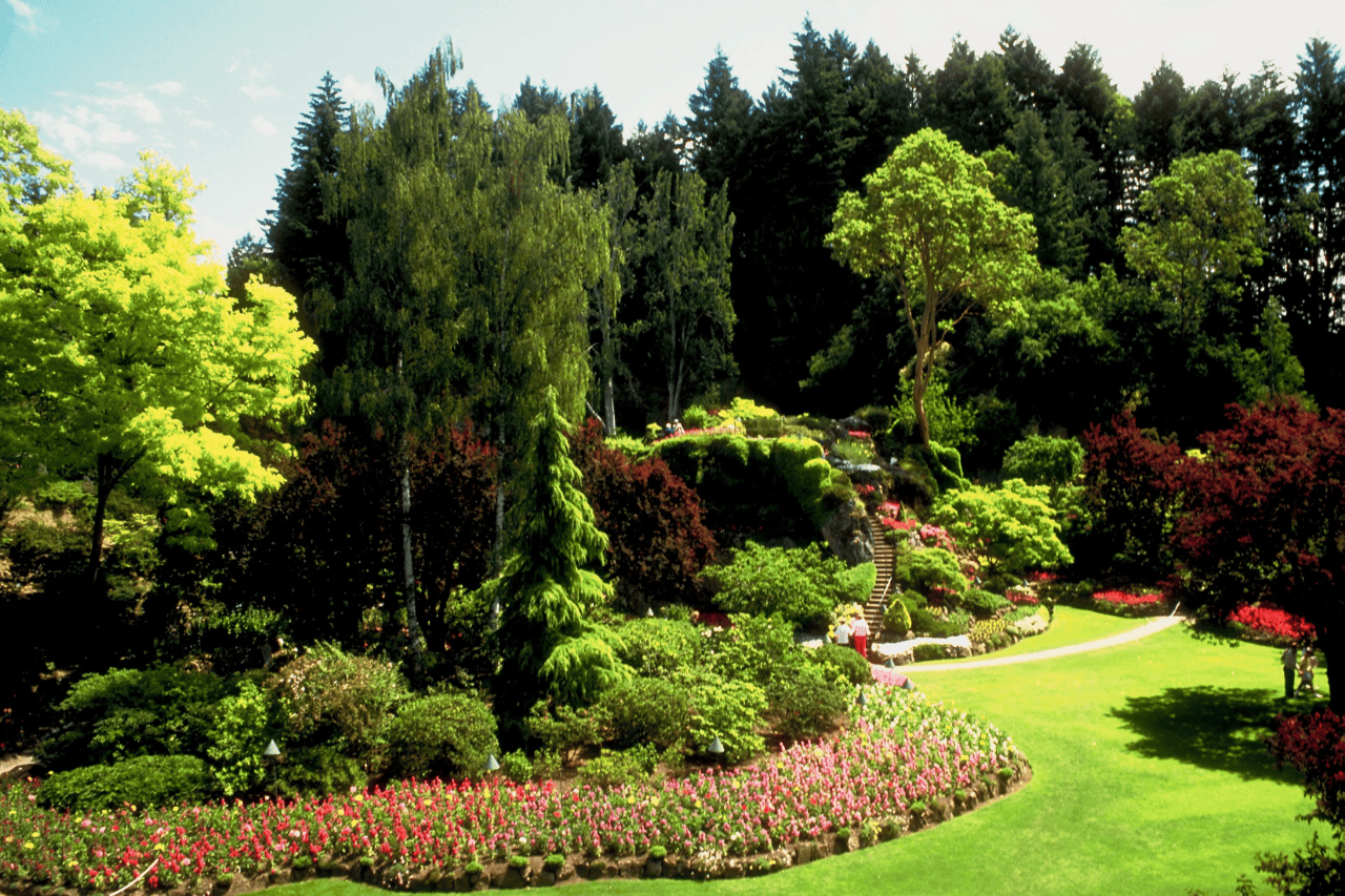 landscaping services